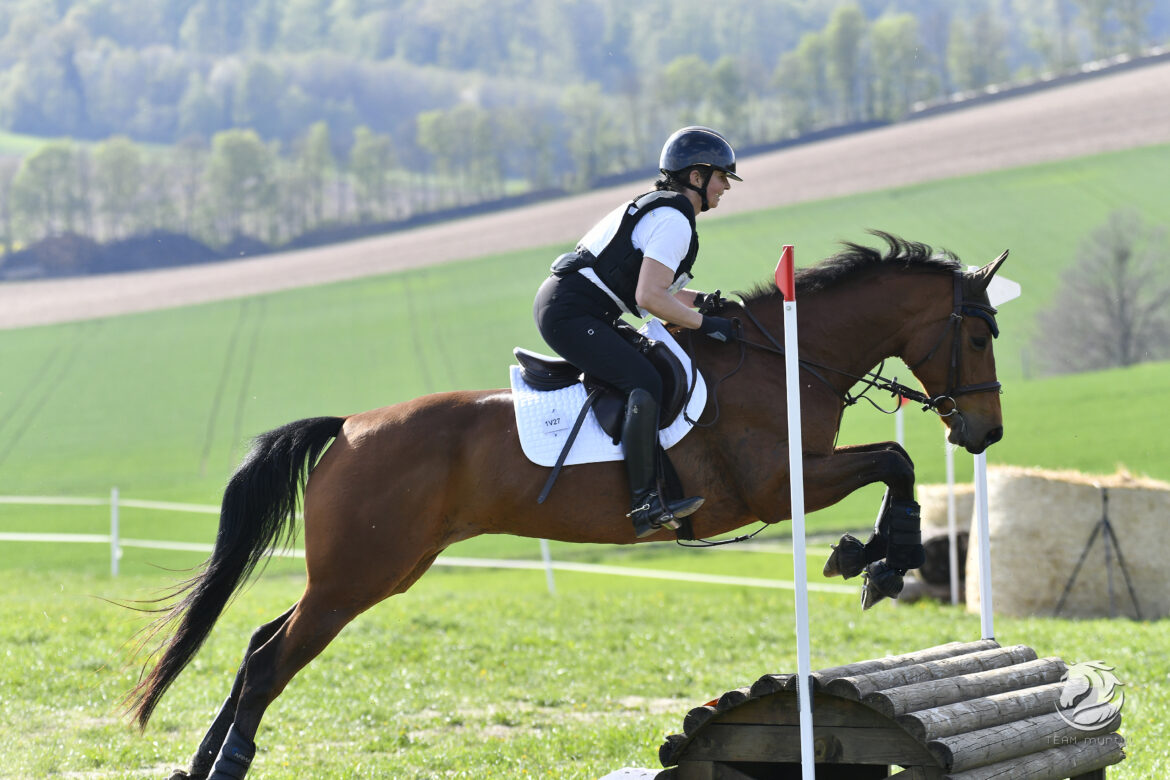 Eine Vielseitigkeit wie früher