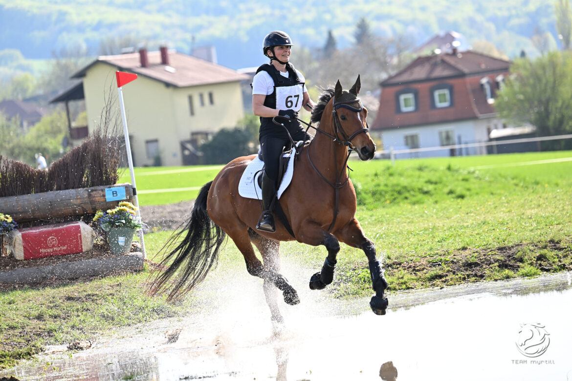 Eine Vielseitigkeit wie früher